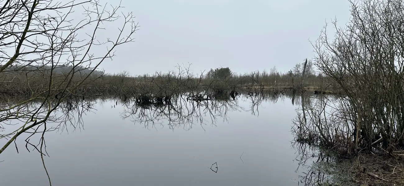 En gåtur ved Bølling Sø