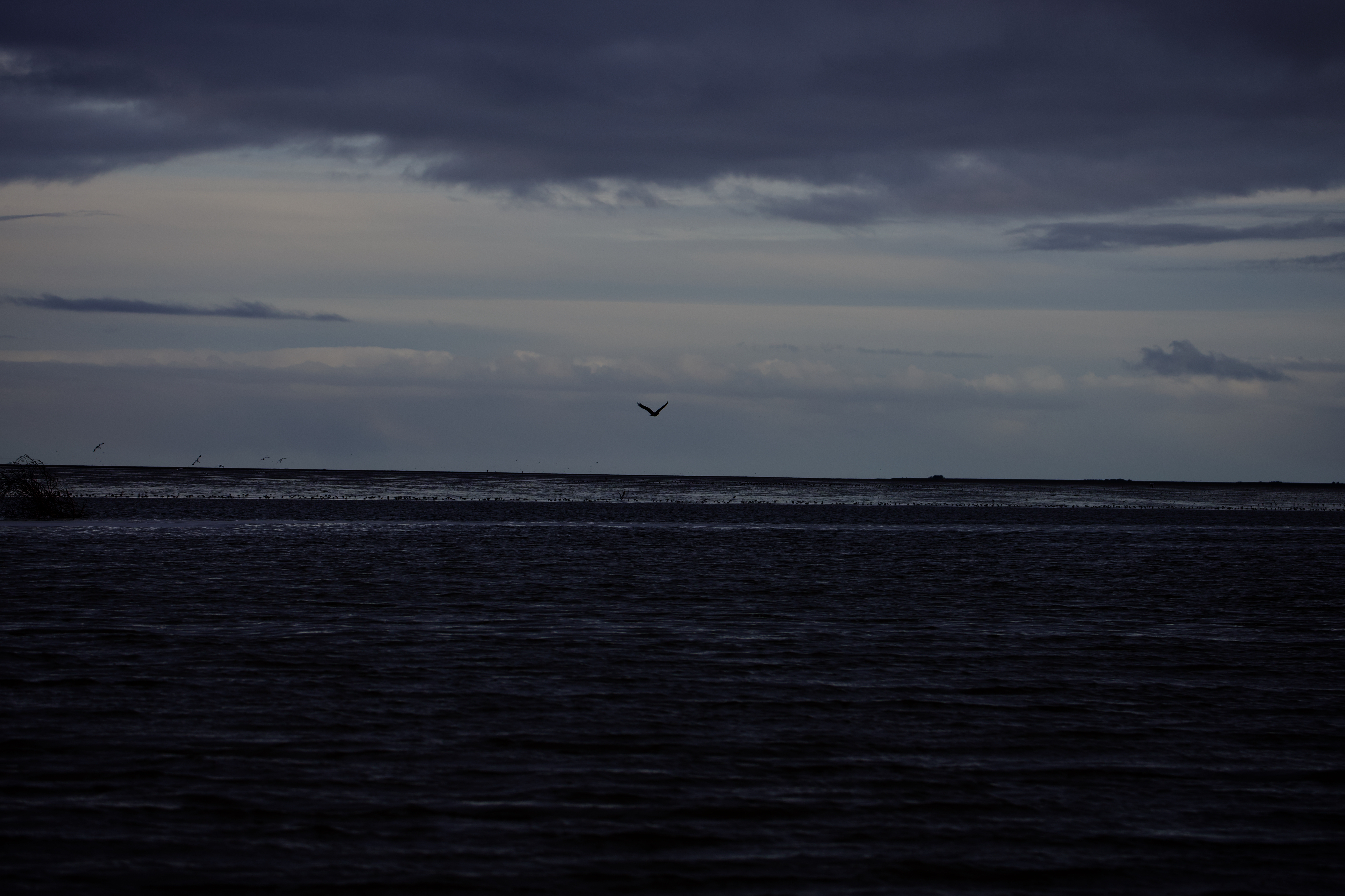 IMG_5290.jpeg