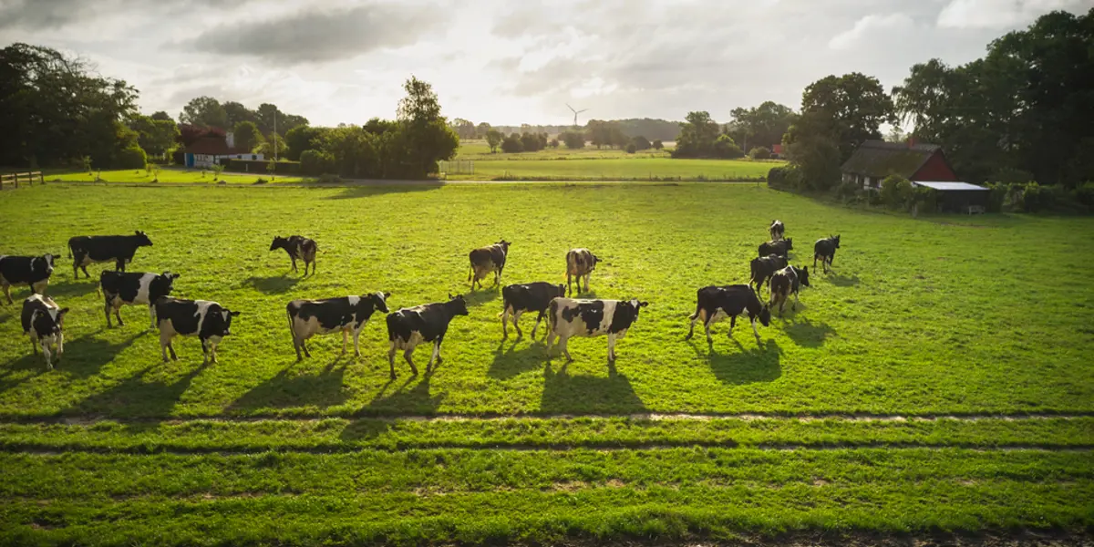 Arla Foods